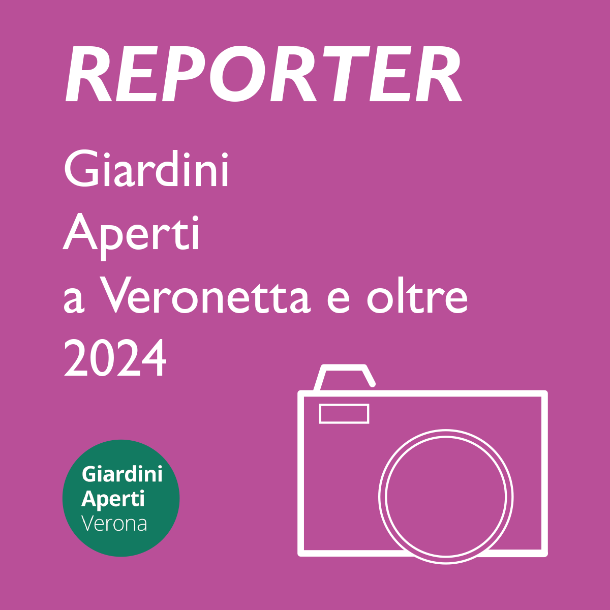 Reporter 2024